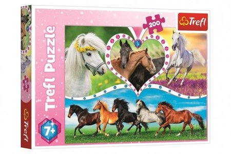 Trefl Puzzle Kon 200 dlk 48x34cm