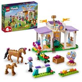 LEGO Friends 41746 Vcvik kon